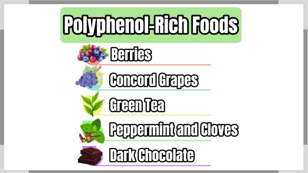Akkermansia and Blood Sugar: Can Gut Bacteria Help Fight Type 2 Diabetes? 3 Infographic of polyphenol-rich foods that support gut health