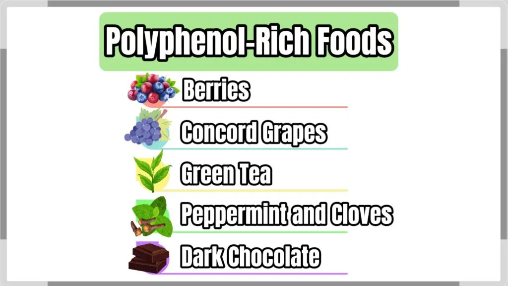 Akkermansia and Blood Sugar: Can Gut Bacteria Help Fight Type 2 Diabetes? 3 Infographic of polyphenol-rich foods that support gut health