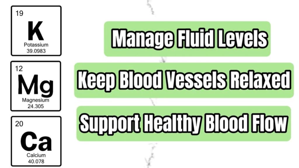 Potassium, magnesium, and calcium help regulate blood pressure by supporting healthy blood vessels, electrolyte balance, and heart function.